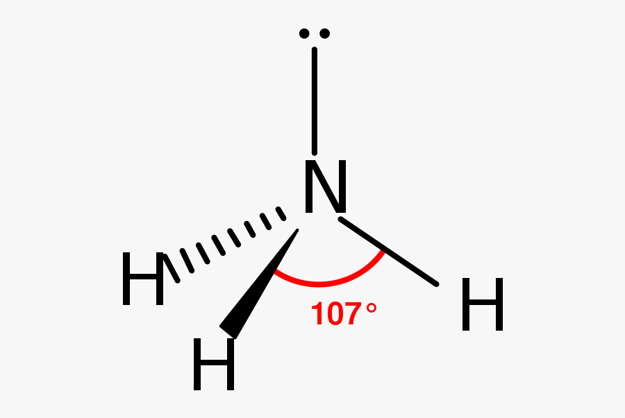 structure of ammonia