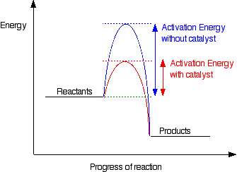 The energy profile diagram of a catalysed reaction