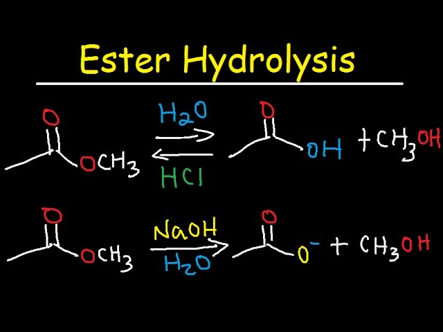 hydrolysis