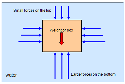 The forces acting on a immersed object increases with depth. So the size of the arrow or force must also increase. The length of the arrow at the bottom corners must be equal to the length of the arrows below the object as they are about the same depth!