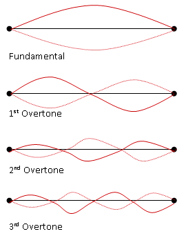The fundamental frequency and overtones of a string instrument